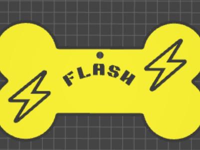 Flash4Dog