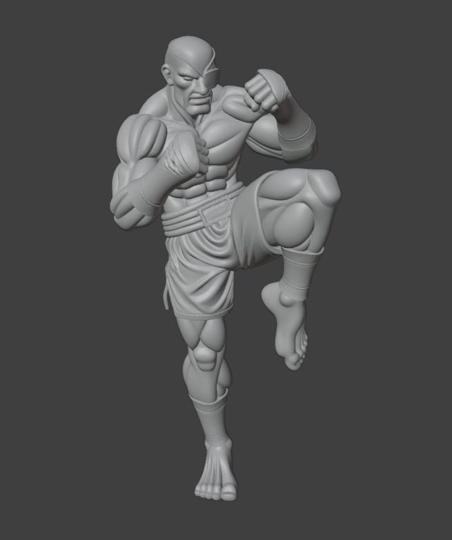 Sagat Street Fighters