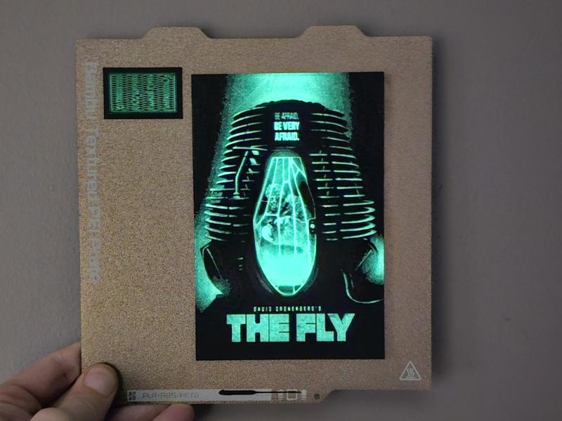 The Fly 