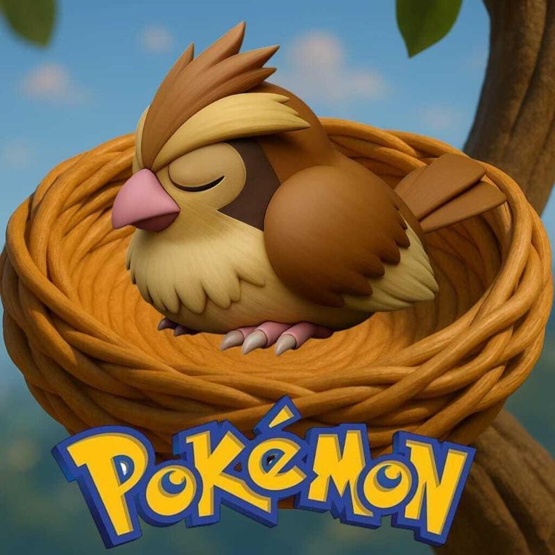 pokemon pidgey sleep