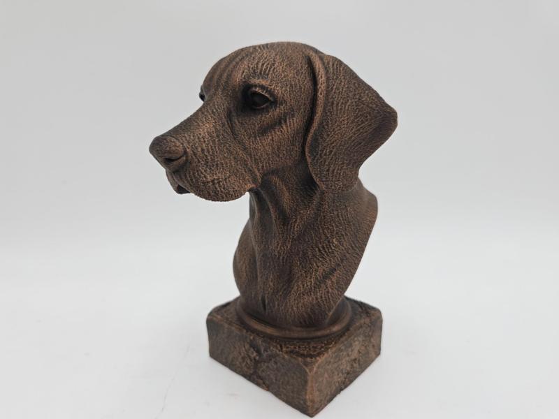 HUNGARIAN VIZSLA BUST