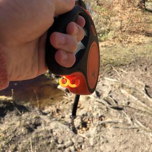 Duo Flexi Leash Hook Attatchment For Two Poop Bags