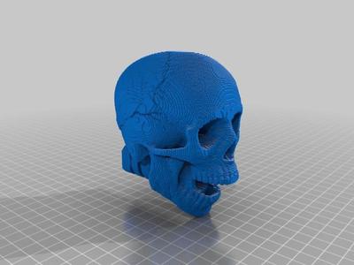 skull Flashider
