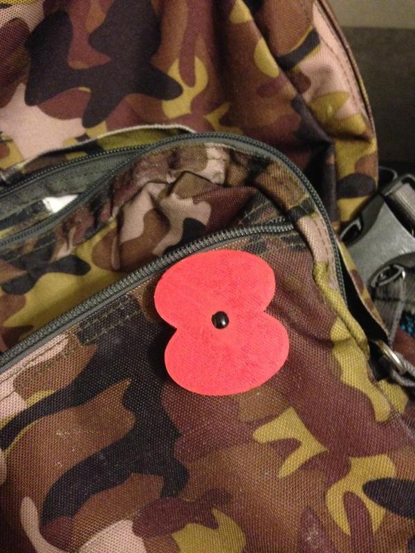 Veterans Day Poppy