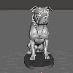 American pit bull