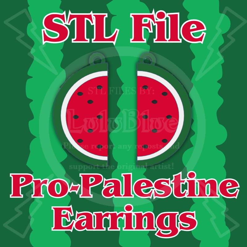 Pro Palestine Earrings - Proceeds Donated