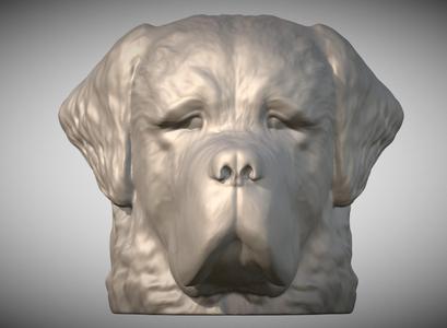 Saint Bernard head for 3D printing