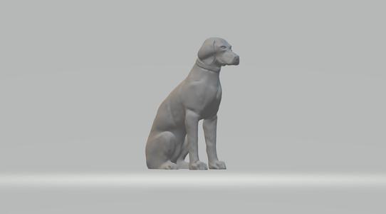 Labrador Retriever Free 3D print model