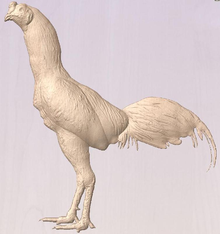 Rooster Gamefoul game chicken asil cnc relief