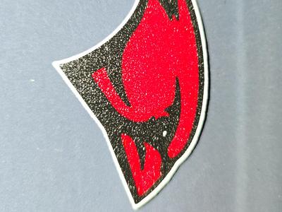 UIW Cardinal Logo