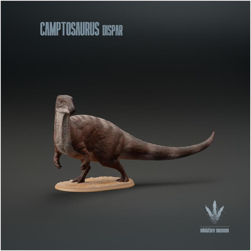 Camptosaurus dispar : The Flexible Lizard