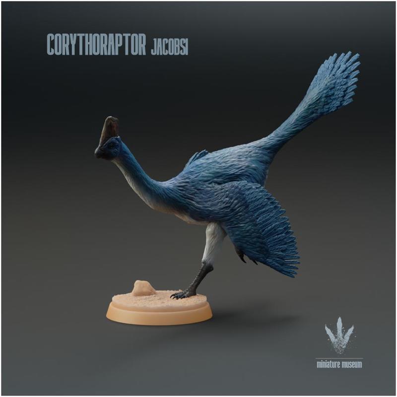Corythoraptor jacobsi : Running