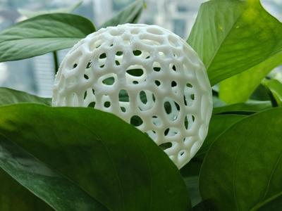 Voronoi Organic Ball