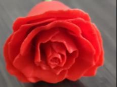 Small easy rose