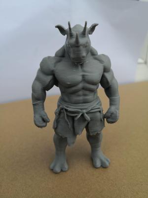 Rhino Chimera