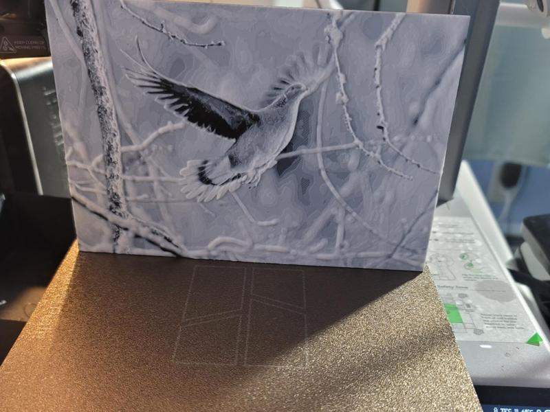 HueForge Dove taking off 