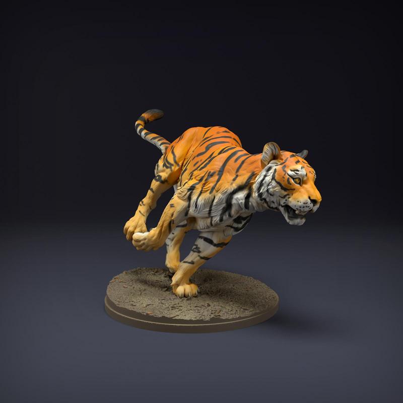 Bengal Tiger Run