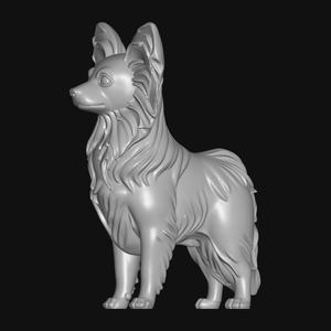 papillon dog