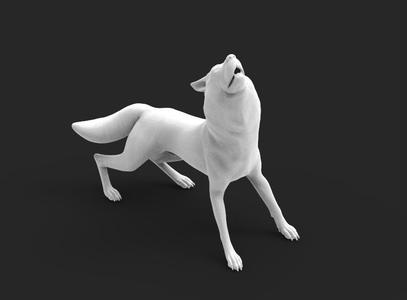 Husky