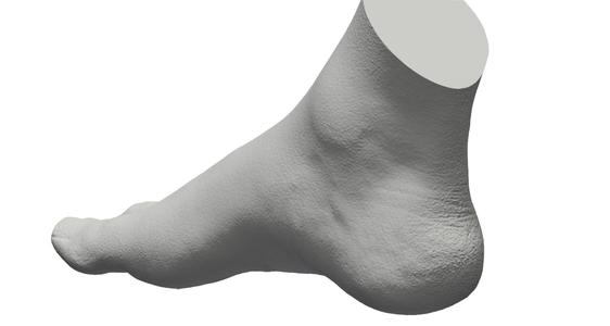 Human foot