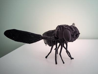 Large Fly sculpture