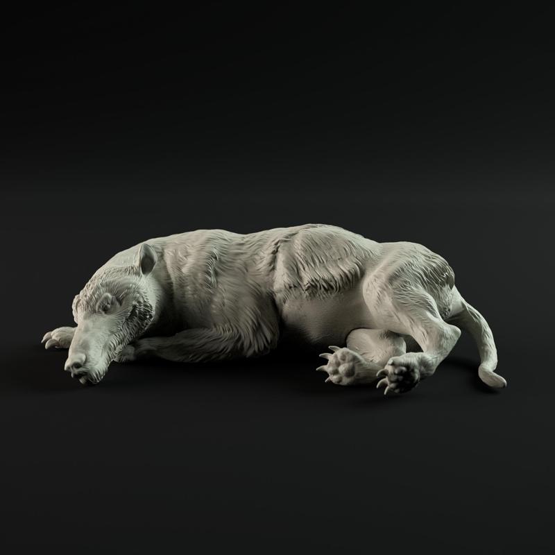 Andrewsarchus resting 1-35 scale pre-supported prehistoric animal