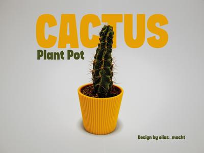 Cactus Plant Pot