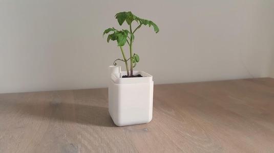 Self-Watering Plant Pot (Small)