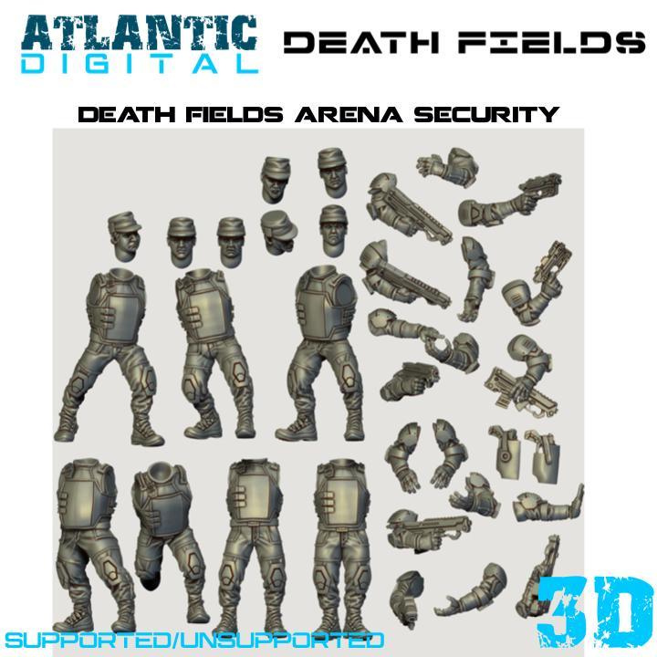 Death Fields Arena Security