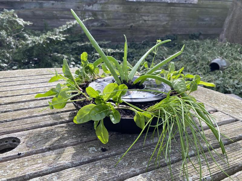 Versatile Filament Spool Planter Garden