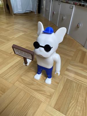 Plastic dog accessories