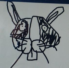 Crack Rabbit