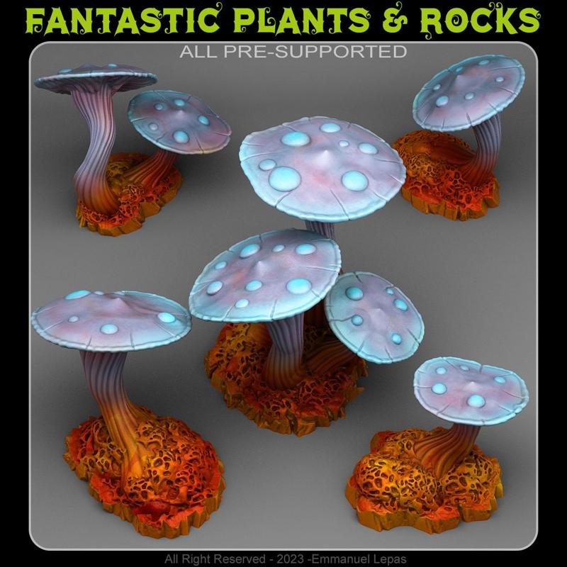 FANTASY MUSHROOMS