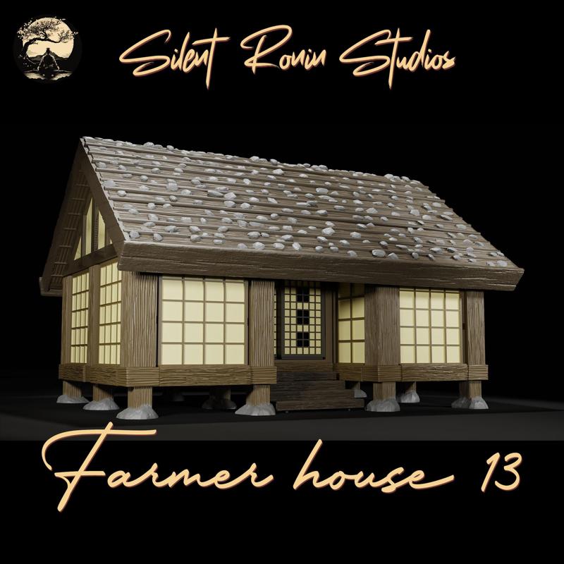 Japanese Farmer Village House #13 (assembly guide included)