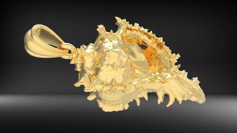 Shell Pendant Cabrits Murex Pendant  necklace charm jewelry