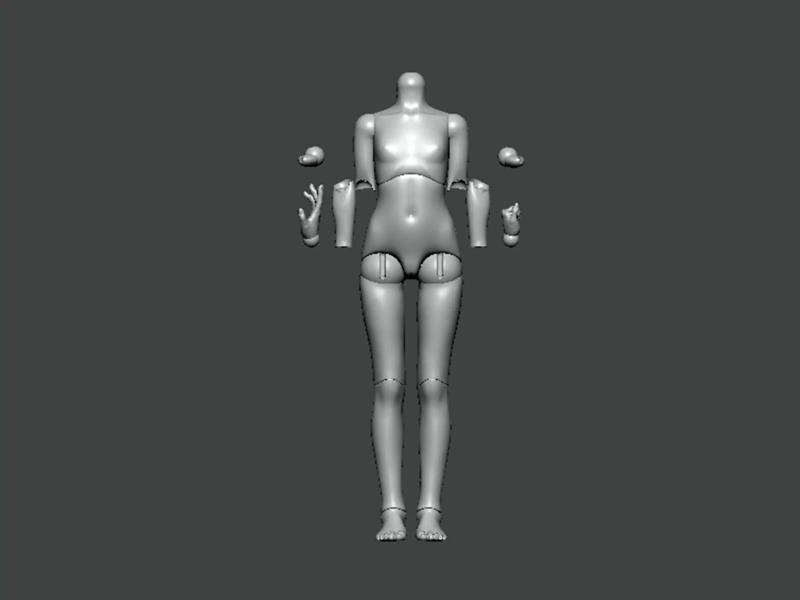 3D Model-ANATOMY0021 female mannequin