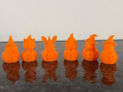 Kawaii Halloween Animals in Pumpkin