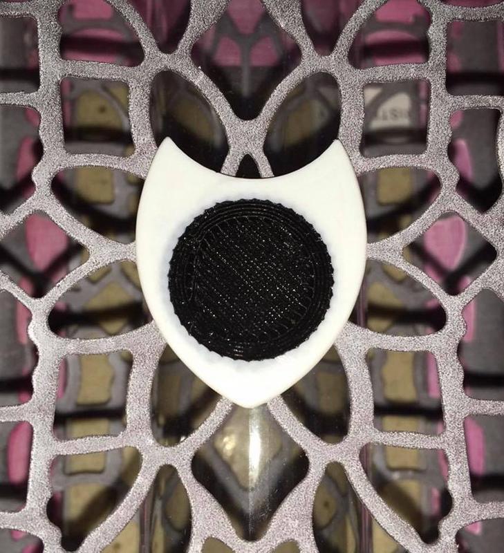 DUA NIDO DENT (electric guitar pick) Pua Nido