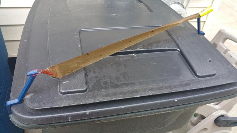 Garbage Can Fly Trap