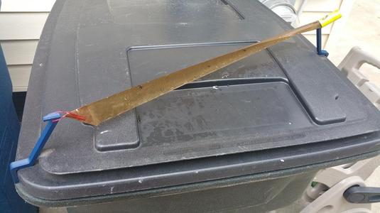 Garbage Can Fly Trap