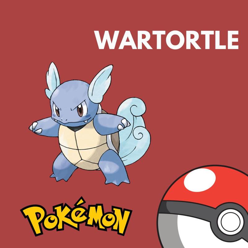 🐢💨 Wartortle 3D - Pokémon Collectible Figure.