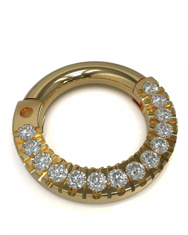 Septum ring with gems