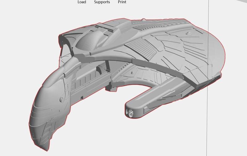 Romulan Macaw Warbird