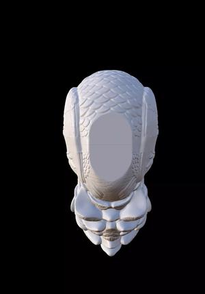 Chicken skull