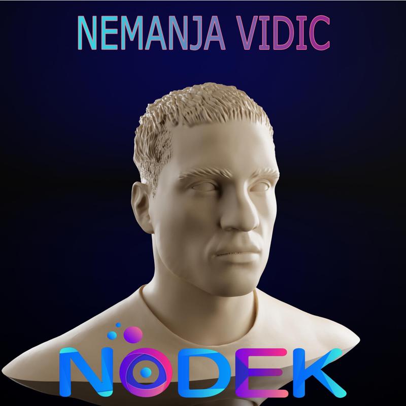 Bust of Nemanja Vidić - The Serbian Wall