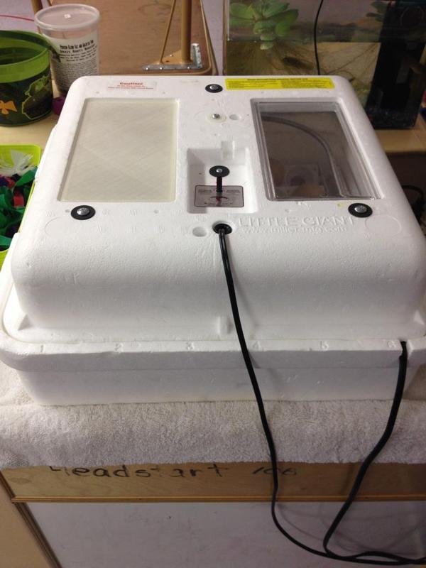 Little Giant Incubator Cover