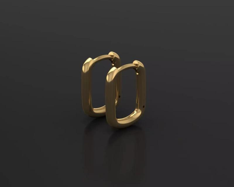 Oval Hoop Earrings
