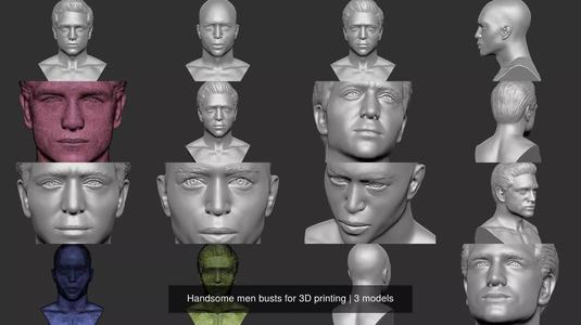 Handsome men busts for 3D printing 3D Model Collection