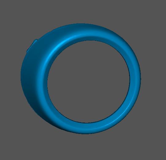 Ford Fusion Fog Light Frame