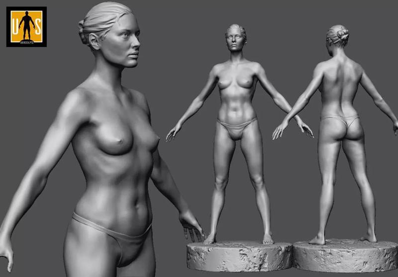 female anatomy study